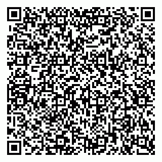 vCard 79222338900