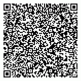 vCard 79222338907