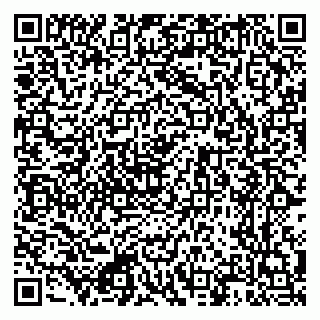 vCard 79222338913