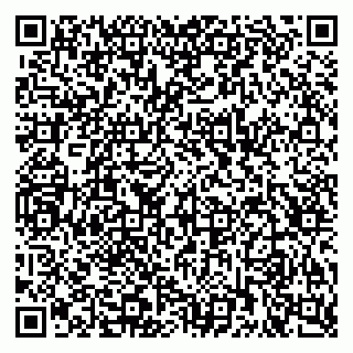 vCard 79222338924