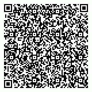 vCard 79222339008