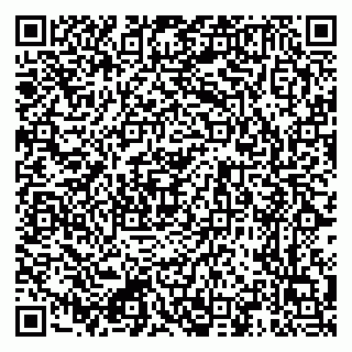 vCard 79222339013