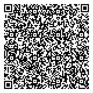 vCard 79222339081