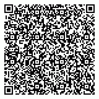 vCard 79222339181