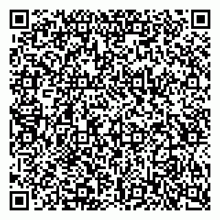 vCard 79222343176
