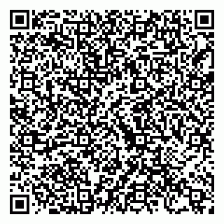 vCard 79222600133