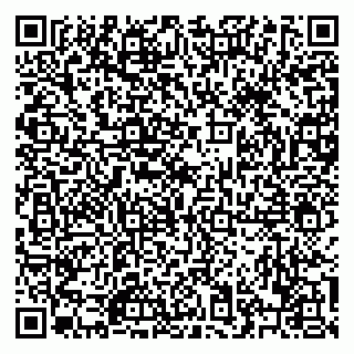 vCard 79222600321