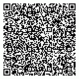 vCard 79222600381