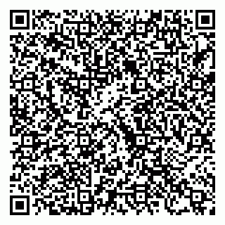 vCard 79222669377