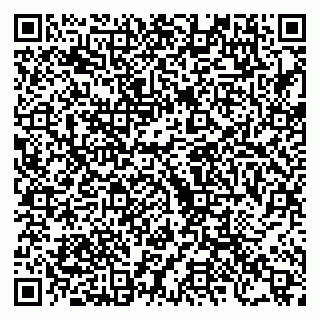 vCard 79222669433