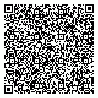 vCard 79222670413