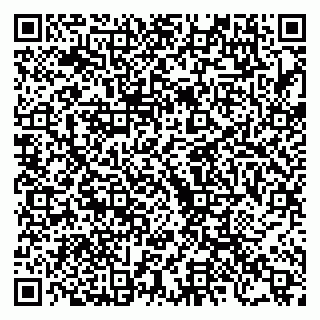 vCard 79222670513