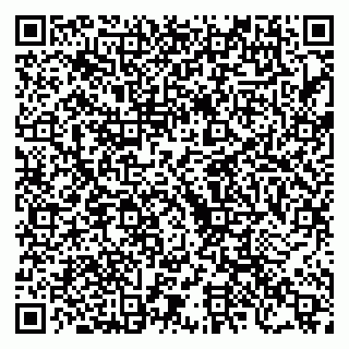 vCard 79222670529