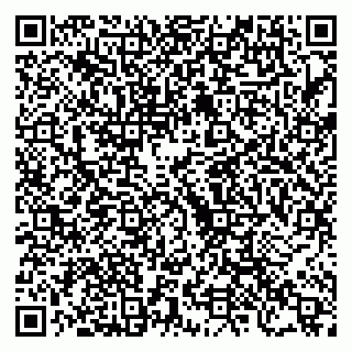 vCard 79222670729