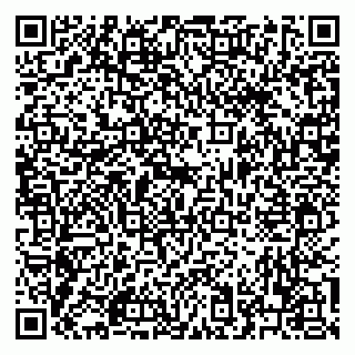 vCard 79222676100