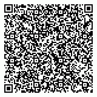 vCard 79222676133