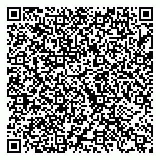 vCard 79222676273