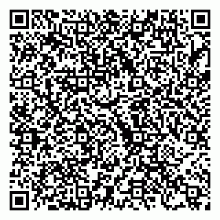 vCard 79222676297