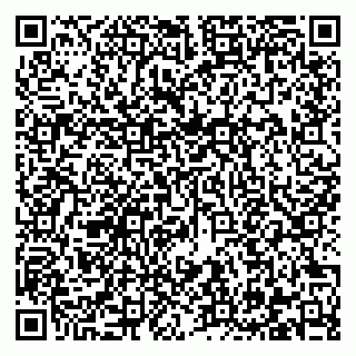 vCard 79222676321