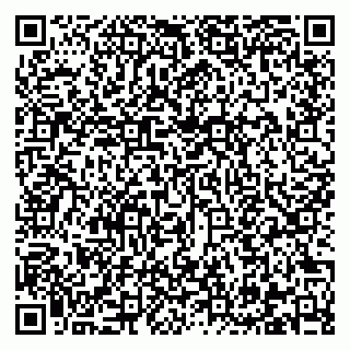 vCard 79222676333