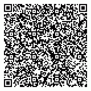 vCard 79222676335