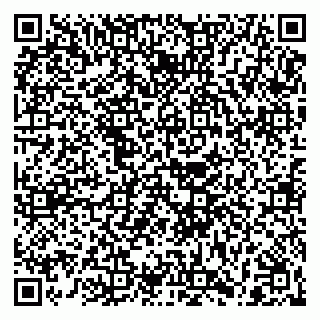 vCard 79222676381