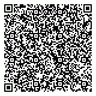 vCard 79222676387