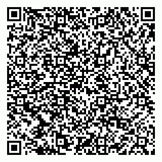vCard 79222800003