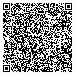 vCard 79222800013