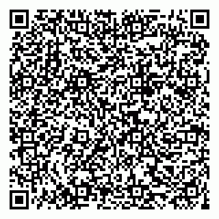 vCard 79222800065