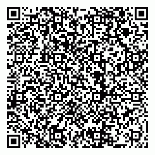 vCard 79222800099