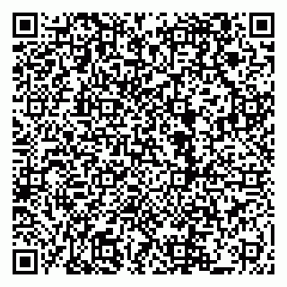 vCard 79222800129