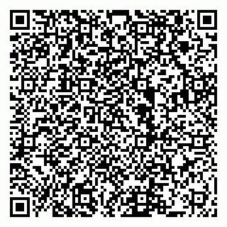 vCard 79222800132