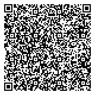 vCard 79222800133