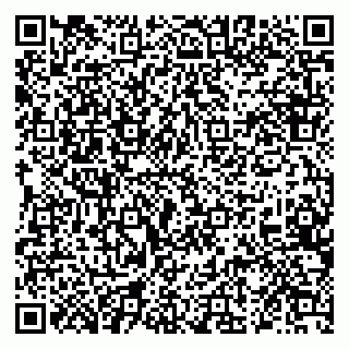 vCard 79222800153