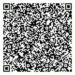 vCard 79222800175