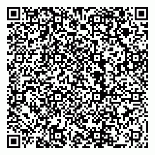 vCard 79222800177