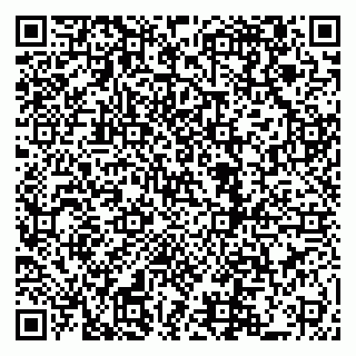 vCard 79222800181