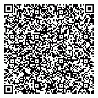 vCard 79222800200
