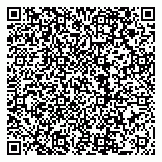 vCard 79222800203