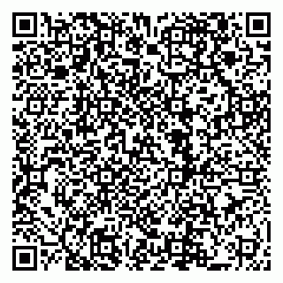 vCard 79222800207