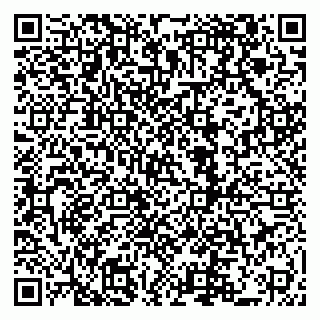 vCard 79222800208