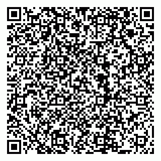 vCard 79222800209