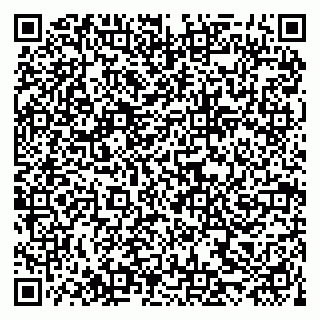 vCard 79222800210