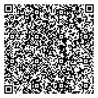 vCard 79222800221