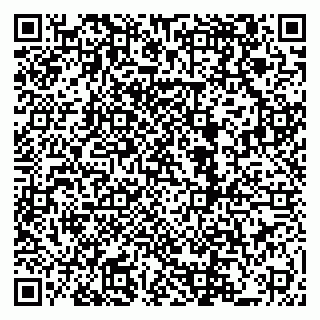 vCard 79222800229
