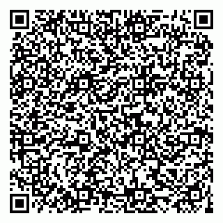 vCard 79222800233