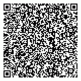 vCard 79222800299