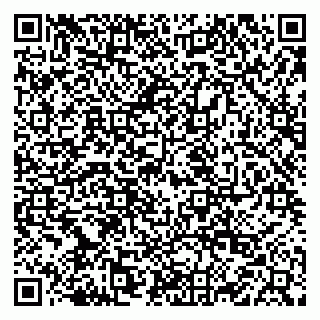vCard 79222800303