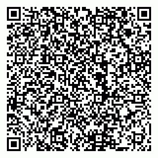 vCard 79222800312